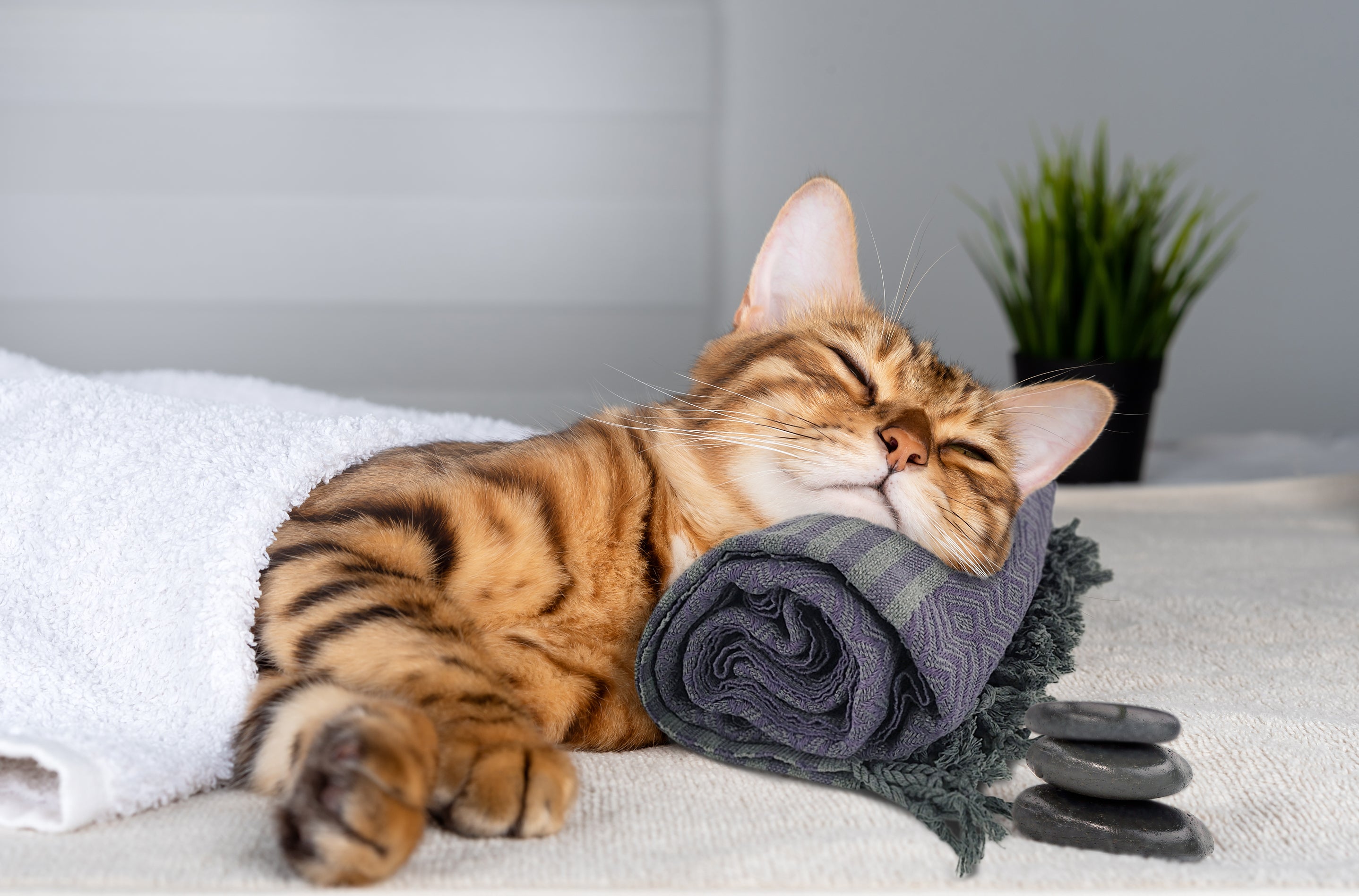 Turkish Towel Mistakes That We All Make